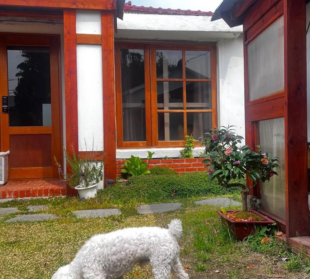 House Idea Hotel Jeju South Korea